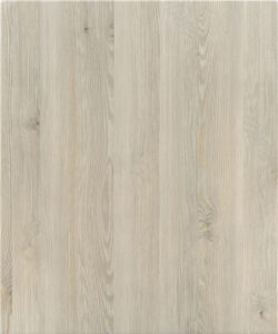 anta-aurora-rovere-fango