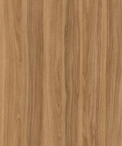 Sandy-noce-naturale-768x922-3