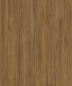 Sandy-rovere-foresta-768x922-3